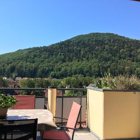 Le Panorama Apartment Kaysersberg-Vignoble Exterior foto