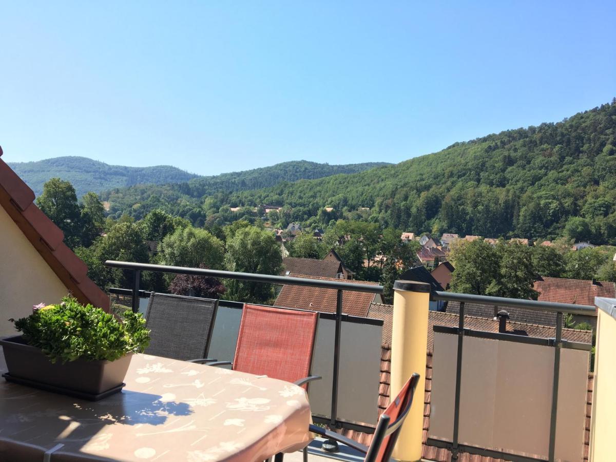 Le Panorama Apartment Kaysersberg-Vignoble Exterior foto