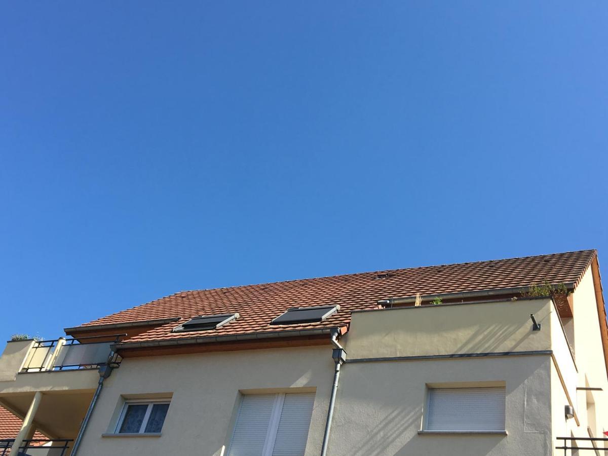 Le Panorama Apartment Kaysersberg-Vignoble Exterior foto