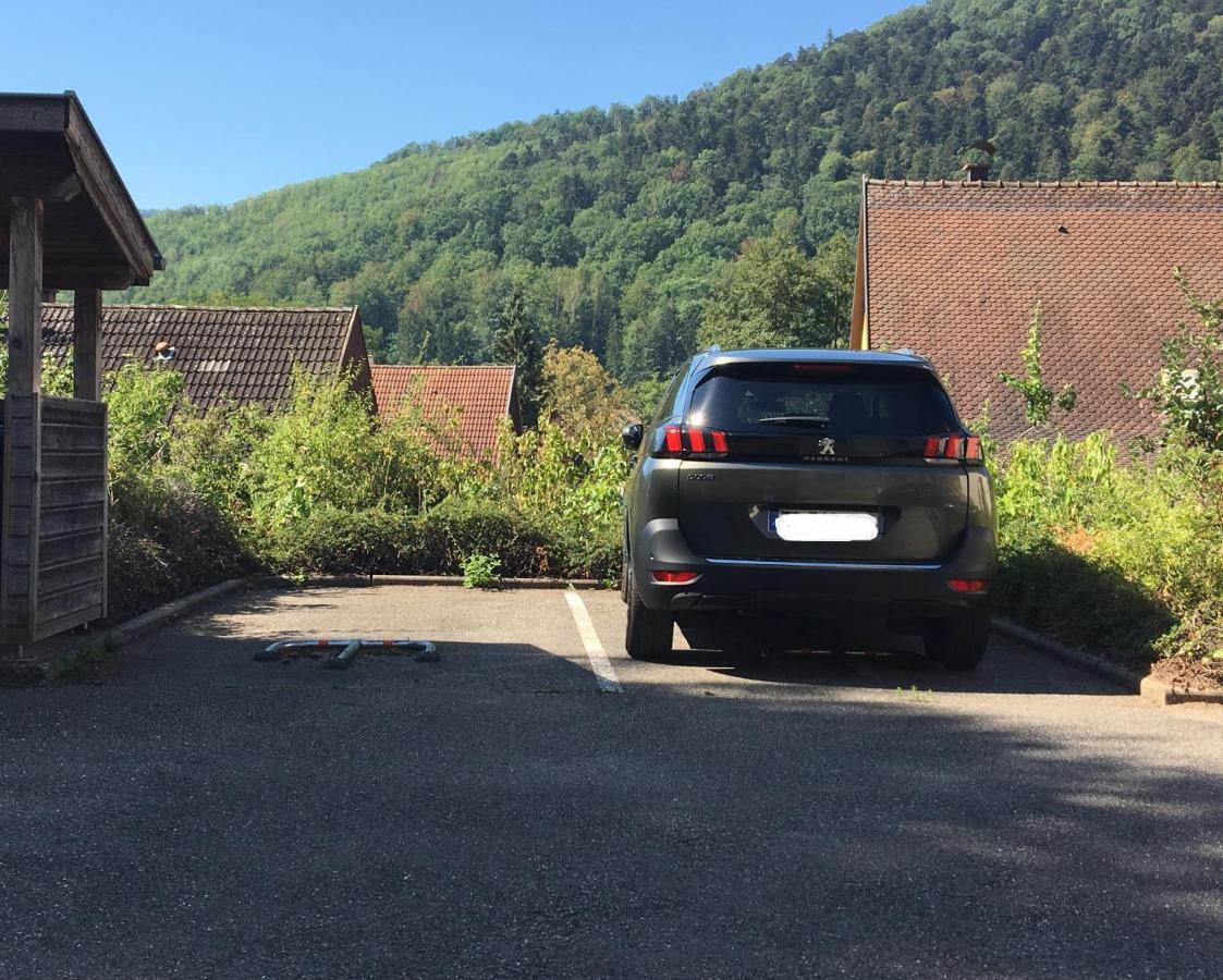 Le Panorama Apartment Kaysersberg-Vignoble Exterior foto