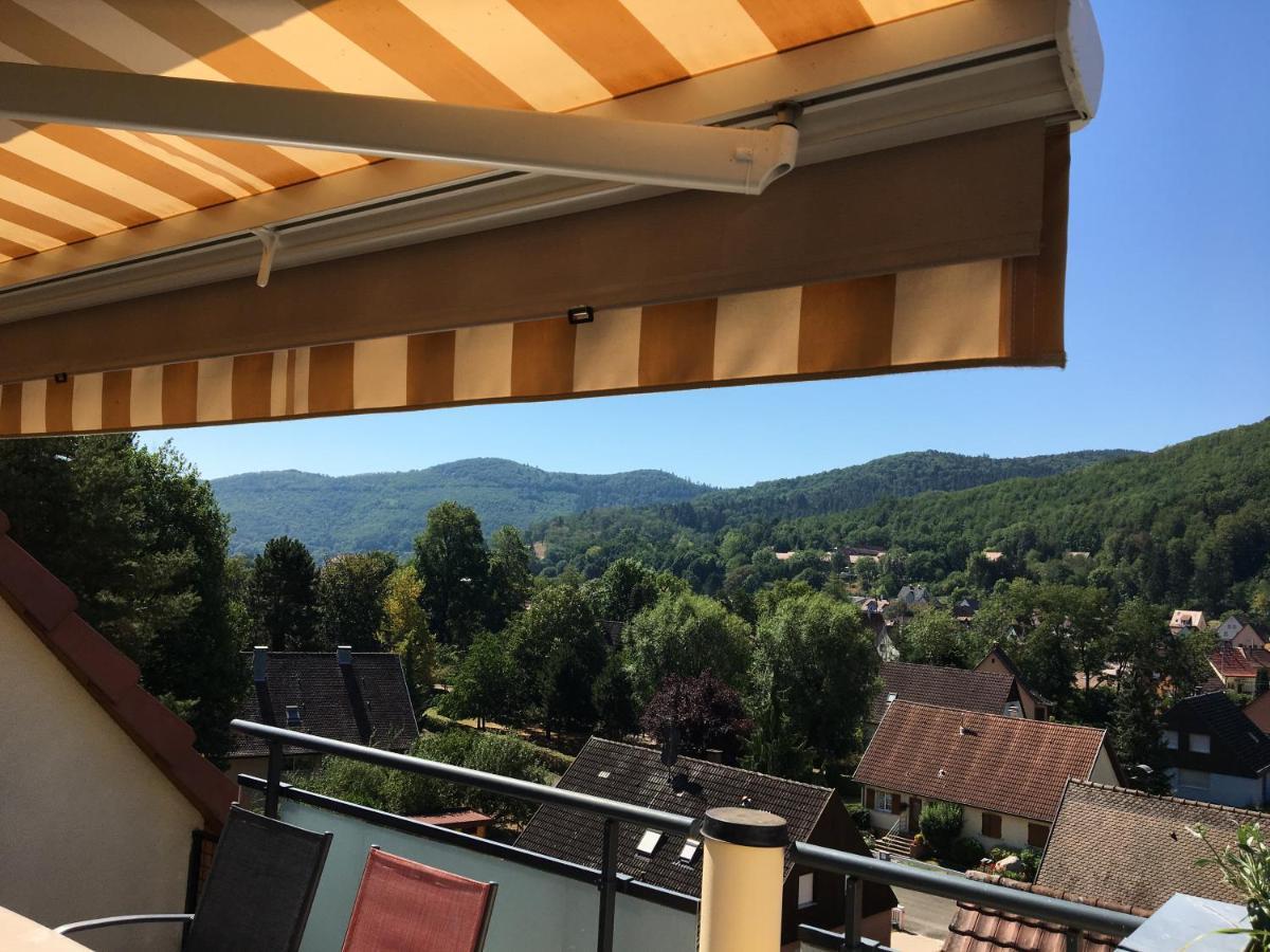 Le Panorama Apartment Kaysersberg-Vignoble Exterior foto