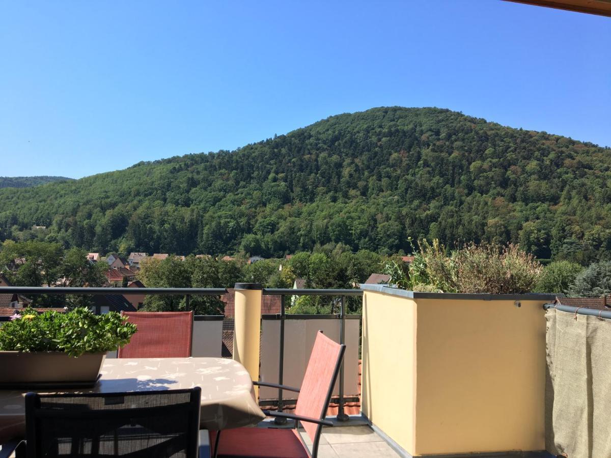 Le Panorama Apartment Kaysersberg-Vignoble Exterior foto